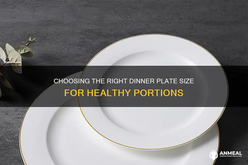 what is a normal dinner plate size