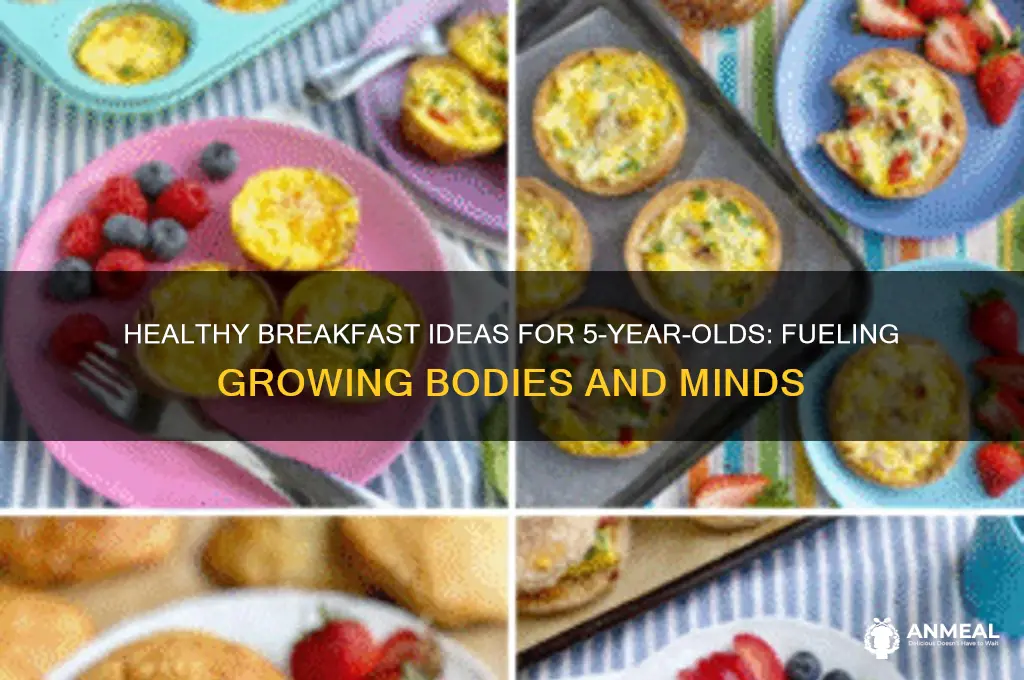 what is a nutritious breakfast for a 5-year-old child