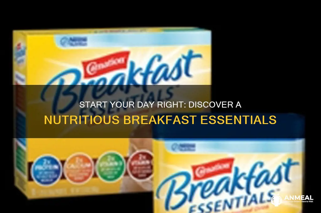 what is a nutritious breakfast