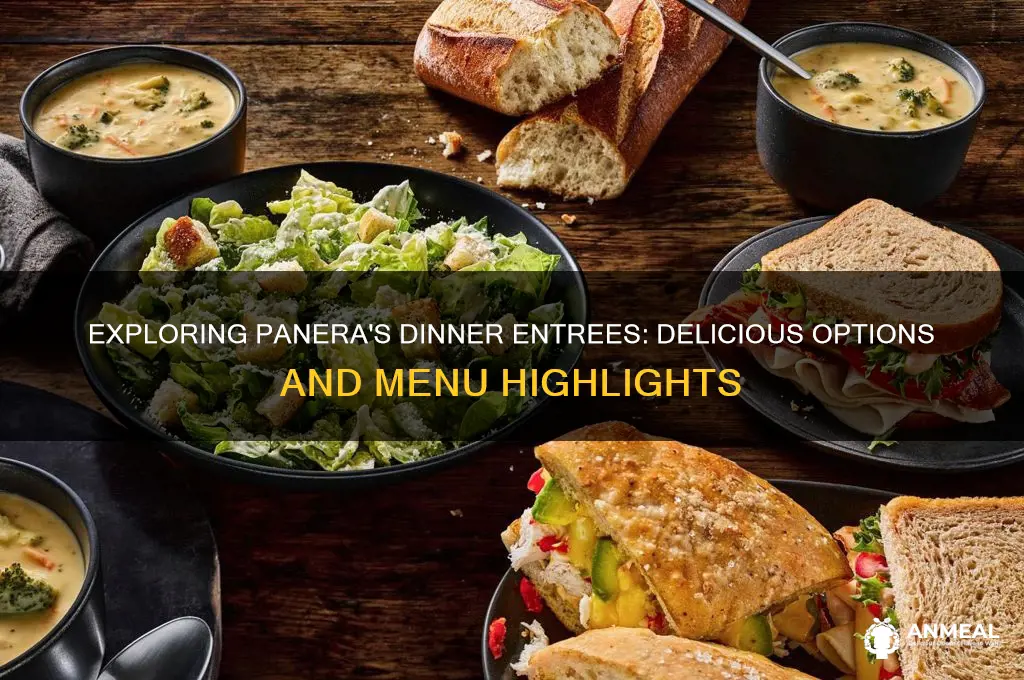 what is a panera dinner entree