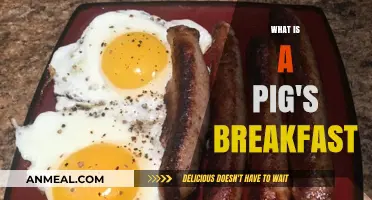 What is a Pig's Breakfast? Unraveling the Messy Idiom's Meaning