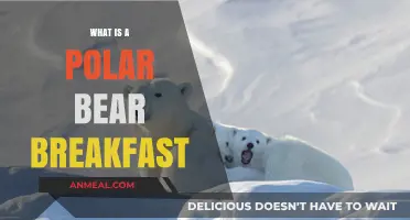 What is a Polar Bear Breakfast? Unveiling the Unique Morning Ritual