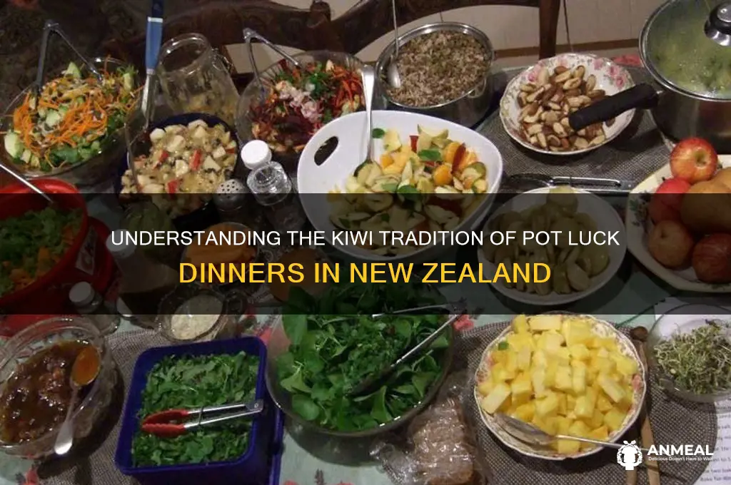 what is a pot luck dinner nz