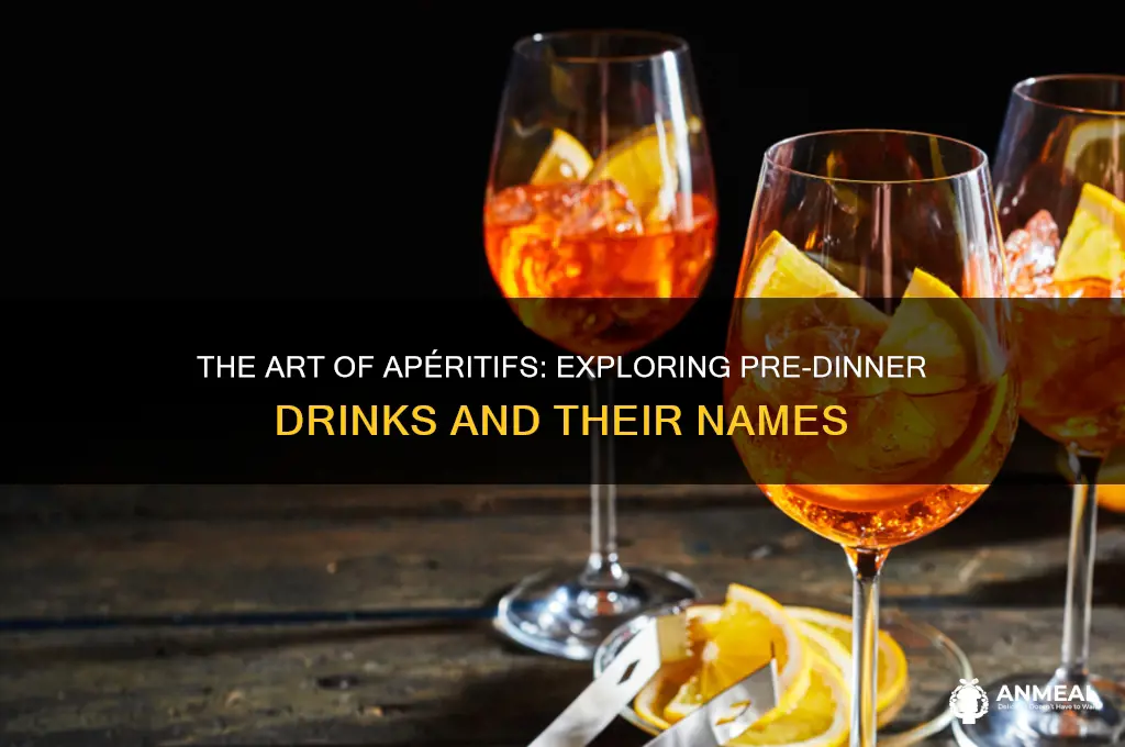 what is a pre dinner drink called