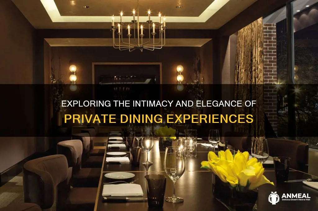 what is a private dinner