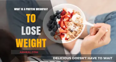 Protein-Packed Breakfast Ideas for Effective Weight Loss and Energy