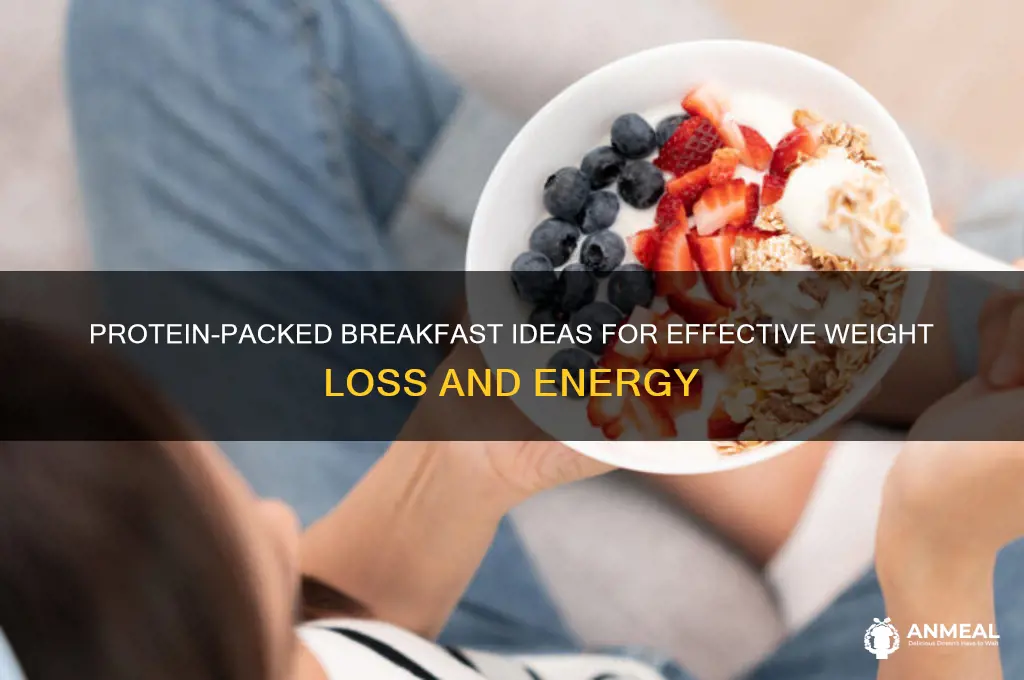 what is a protein breakfast to lose weight