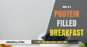 Fuel Your Morning: High-Protein Breakfast Ideas for Energy and Focus