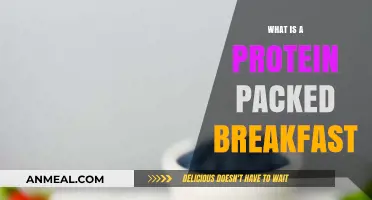 Fuel Your Morning: High-Protein Breakfast Ideas for Energy and Focus