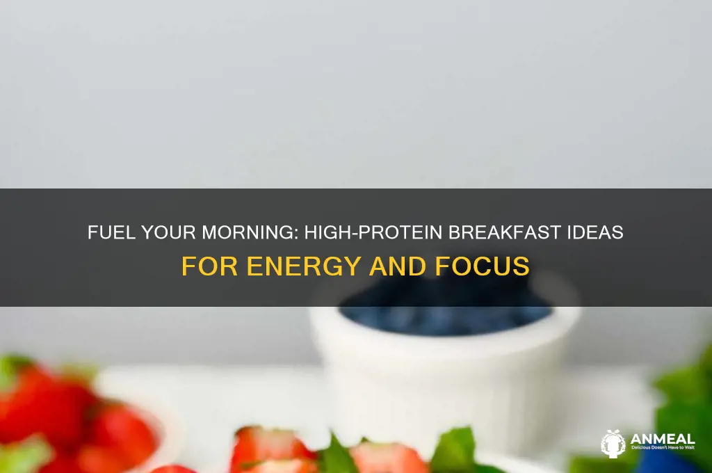 what is a protein packed breakfast