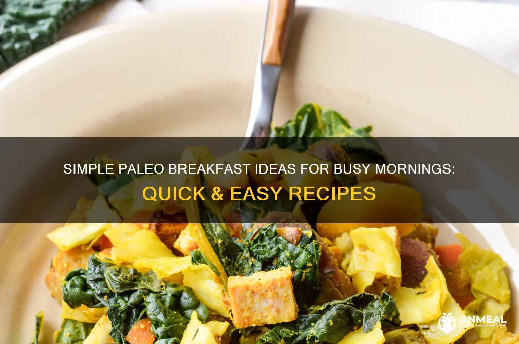 what is a quick and easy paleo breakfast