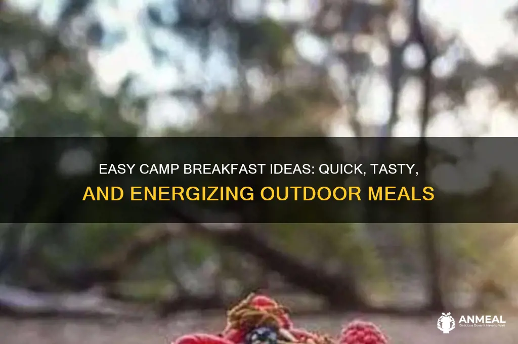 what is a quick camp breakfast