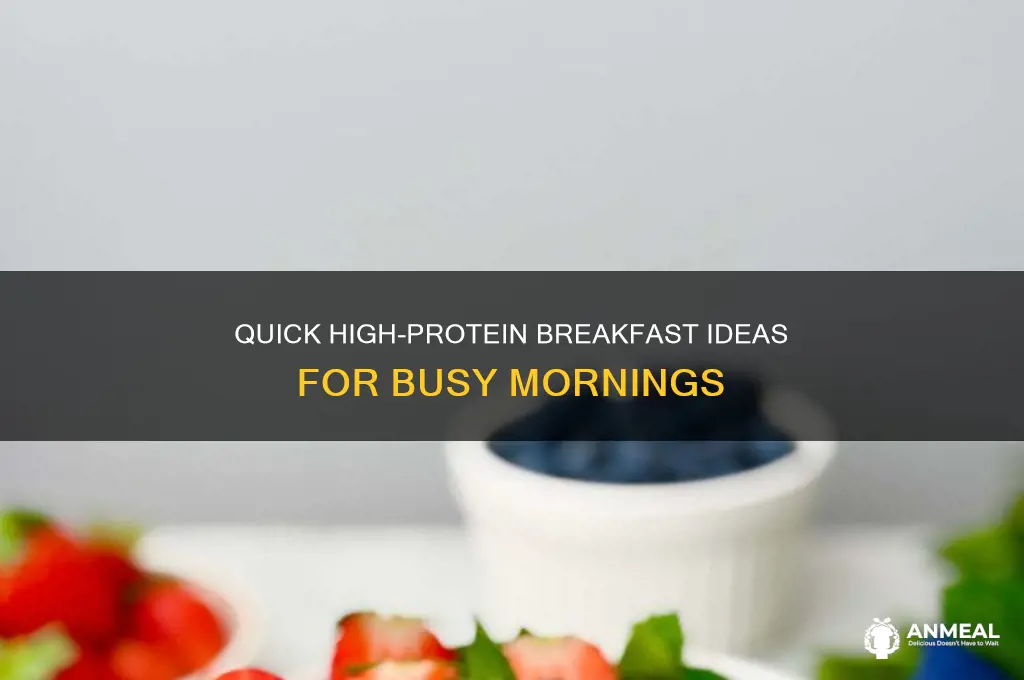 what is a quick high protein breakfast