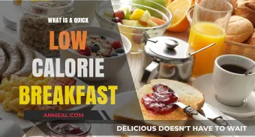 Quick, Healthy Low-Calorie Breakfast Ideas to Start Your Day Right