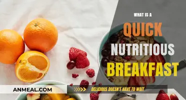 Quick Nutritious Breakfast Ideas for Busy Mornings: Healthy Options