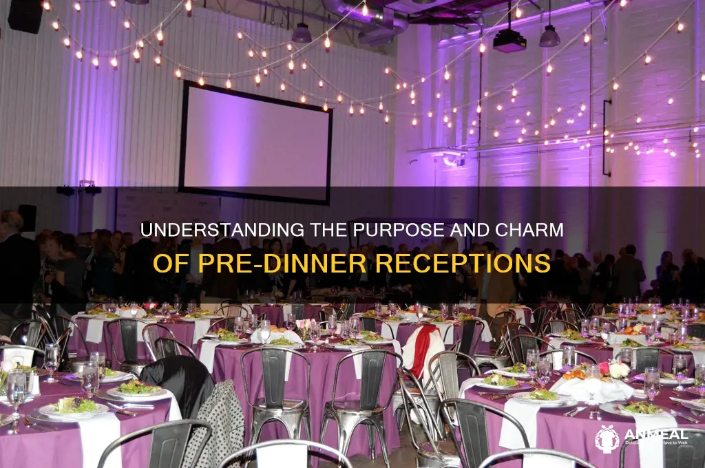 what is a reception before dinner