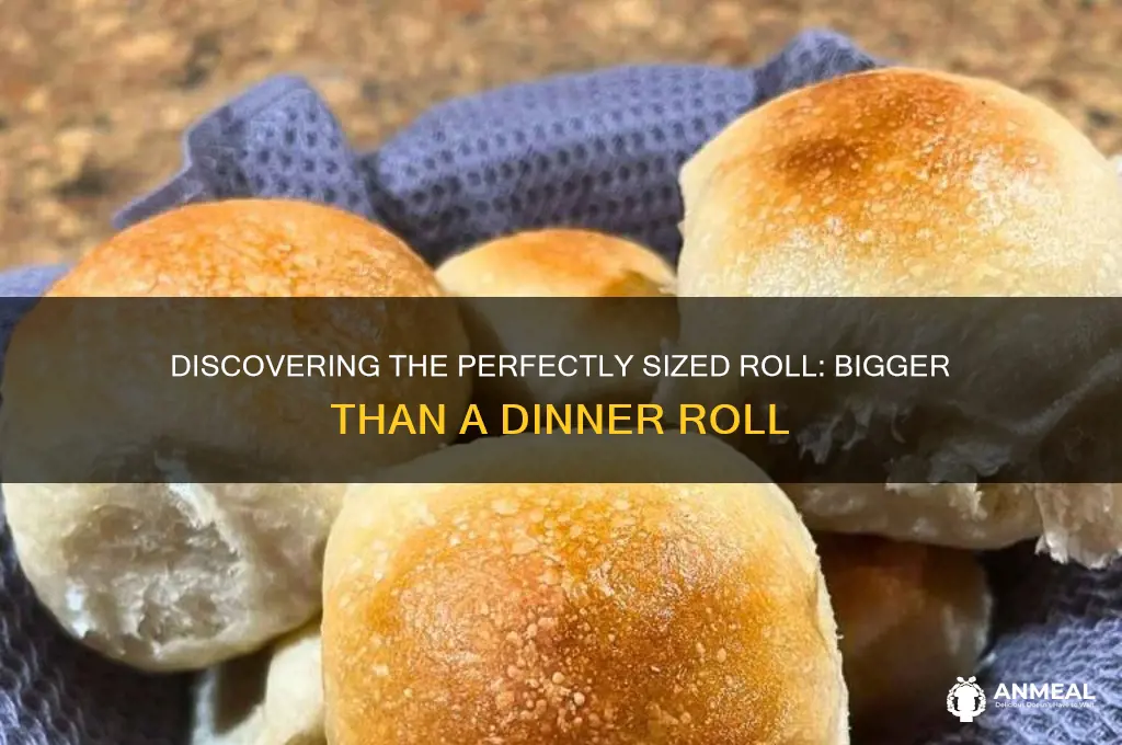 what is a roll little bigger then dinner roll