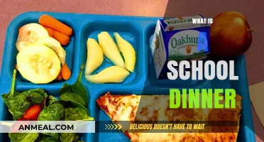 Exploring the Nutritional and Social Role of School Dinners