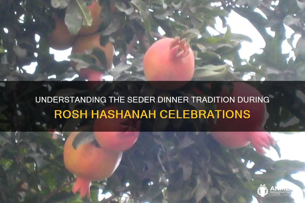 what is a seder dinner rosh hashanah