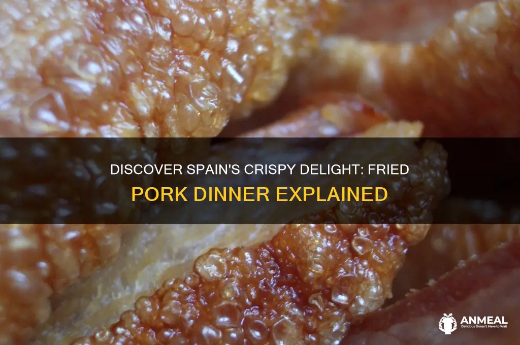 what is a spanish fried pork dinner