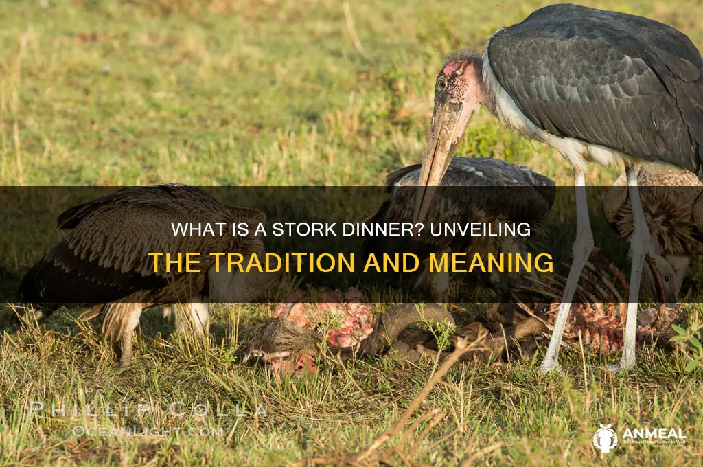 what is a stork dinner