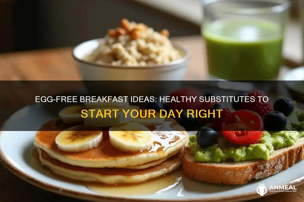 what is a substitute for eggs for breakfast