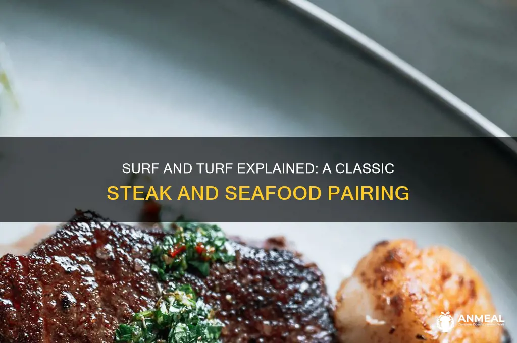 what is a surf and turf dinner