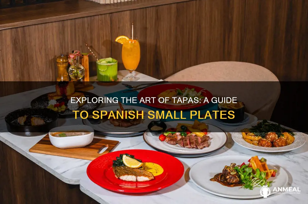 what is a tapas dinner