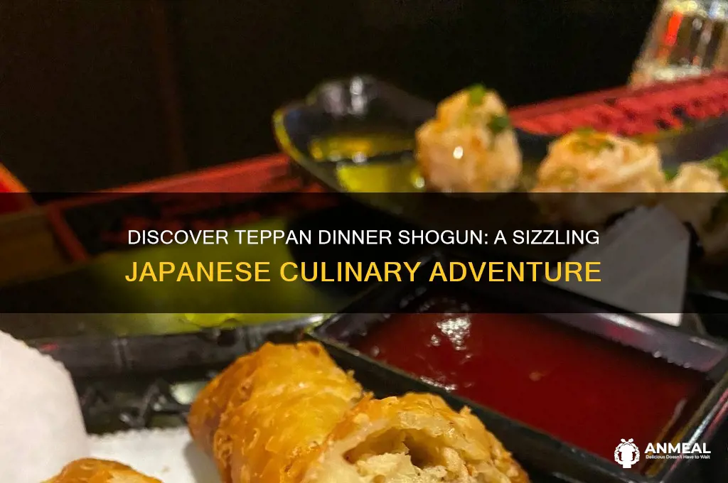 what is a teppan dinner shogun
