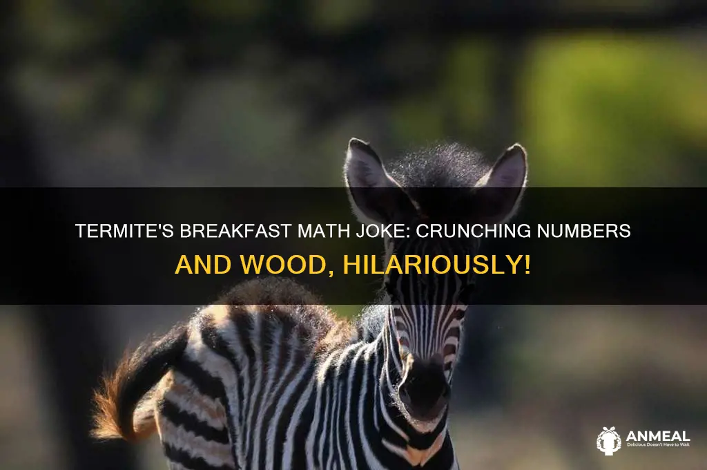 what is a termite favorite breakfast math joke