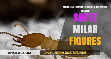 Termites' Breakfast Secrets: Unveiling Similar Figures Answer Sheet