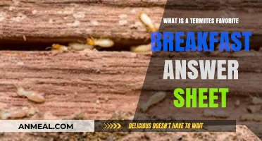 Termites' Favorite Breakfast: Unveiling Their Morning Feast Secrets