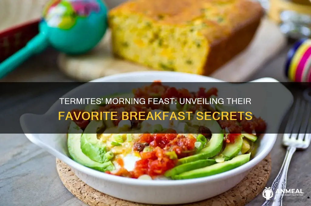 what is a termite