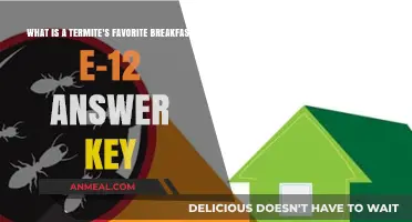 Termite's Breakfast Secrets: Unlocking the E-12 Answer Key Mystery