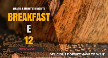 Termites' Morning Feast: Unveiling Their Favorite Breakfast Secrets