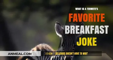 Termite's Morning Munch: A Hilarious Breakfast Joke Revealed!