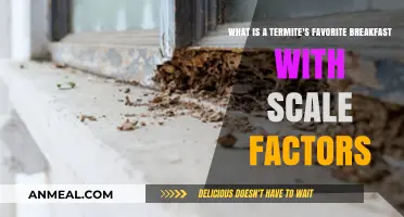 Termite Breakfast Secrets: Scale Factors in Their Morning Feast Revealed