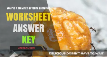 Termite's Favorite Breakfast Worksheet Answer Key: Unlocking Insect Diet Secrets