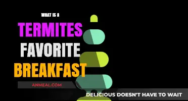 Termites' Morning Feast: Uncovering Their Favorite Breakfast Secrets