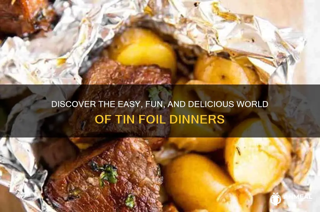 what is a tin foil dinner