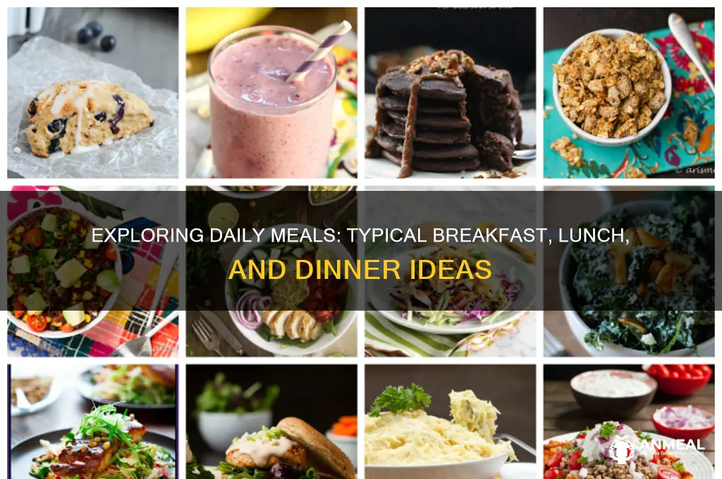 what is a typical breakfast lunch and dinner