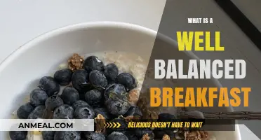 Fuel Your Day: Balanced Breakfast Ideas
