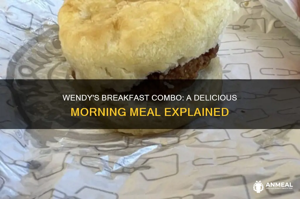 what is a wendy