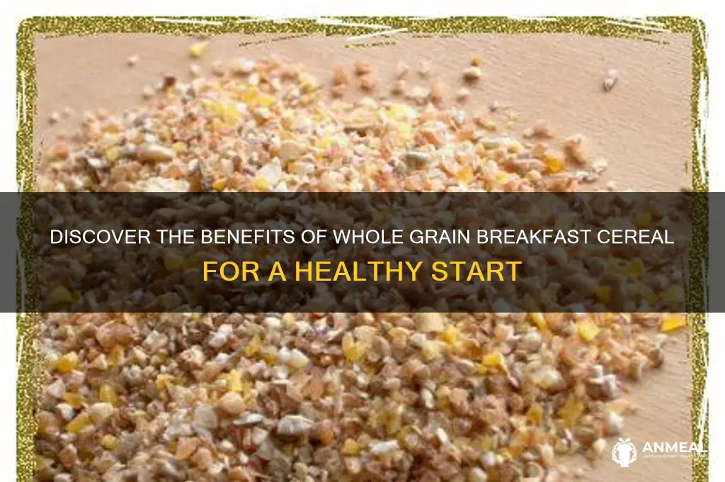 what is a whole grain breakfast cereal