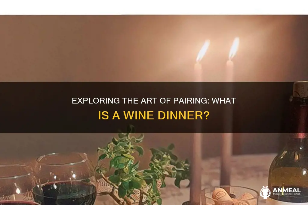 what is a wine dinner