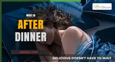 After Dinner Delights: Exploring Post-Meal Rituals and Relaxation Ideas