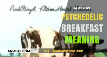 Alan's Psychedelic Breakfast: Unraveling the Meaning Behind Pink Floyd's Trippy Album