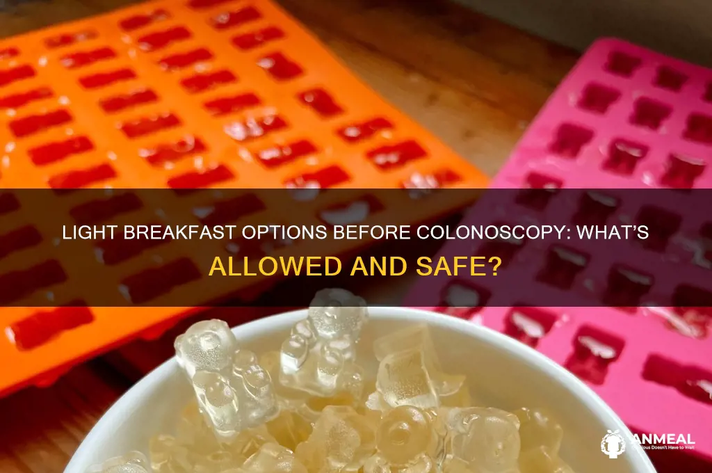 what is allowed light breakfast before colonoscopy