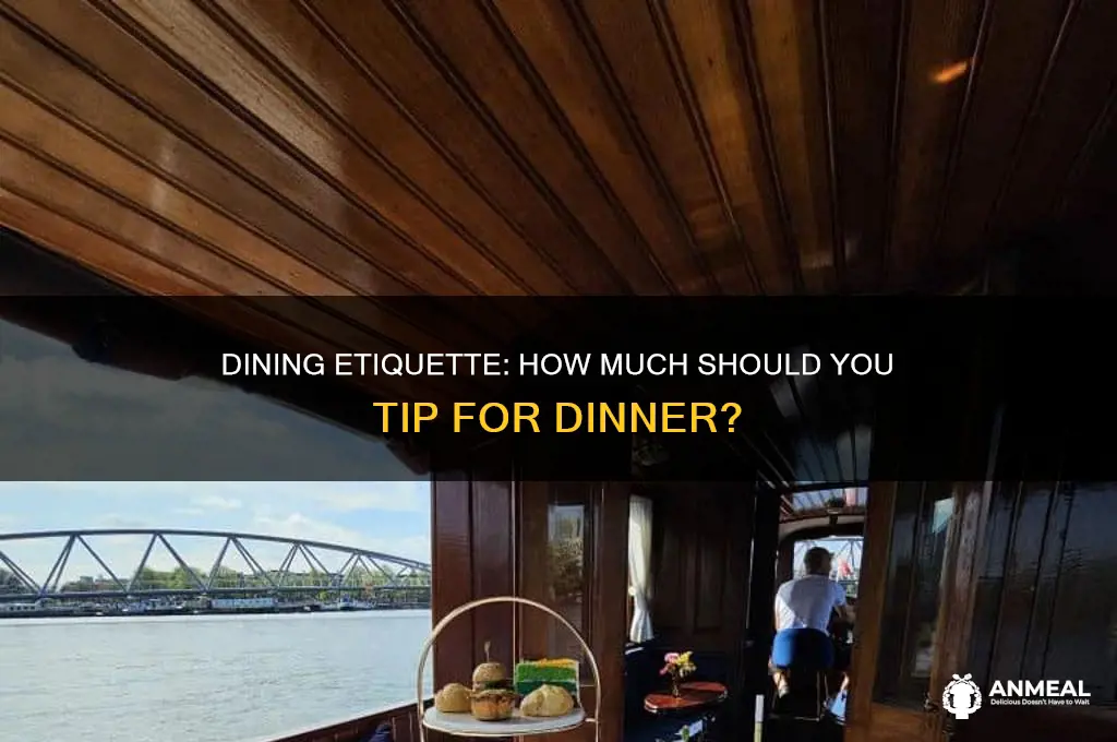 what is an appropriate tip for dinner