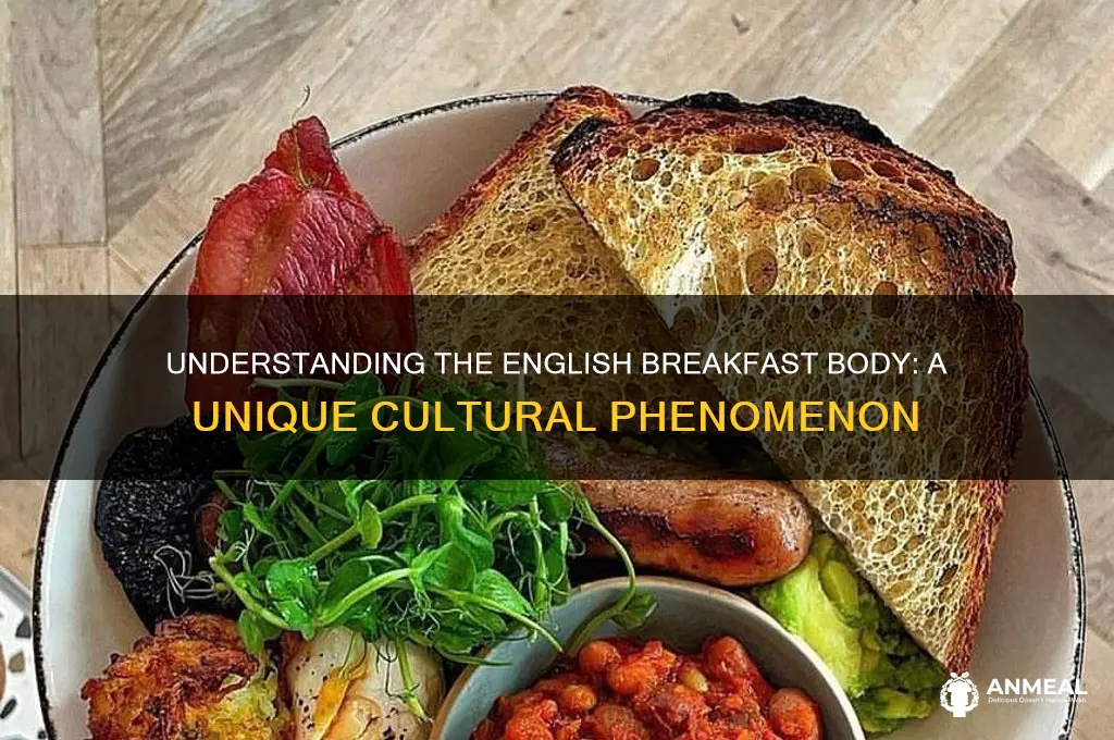 what is an english breakfast body